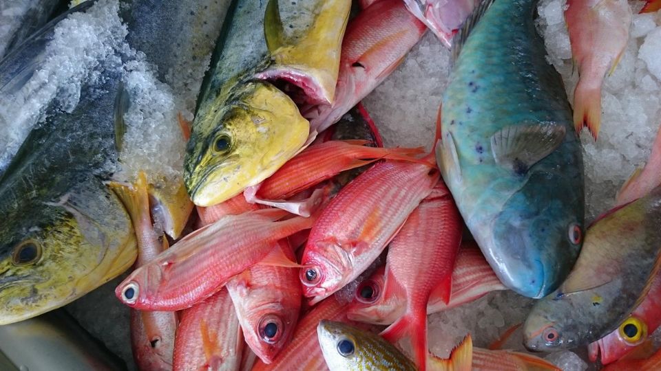 Port de pêche Port de pêche